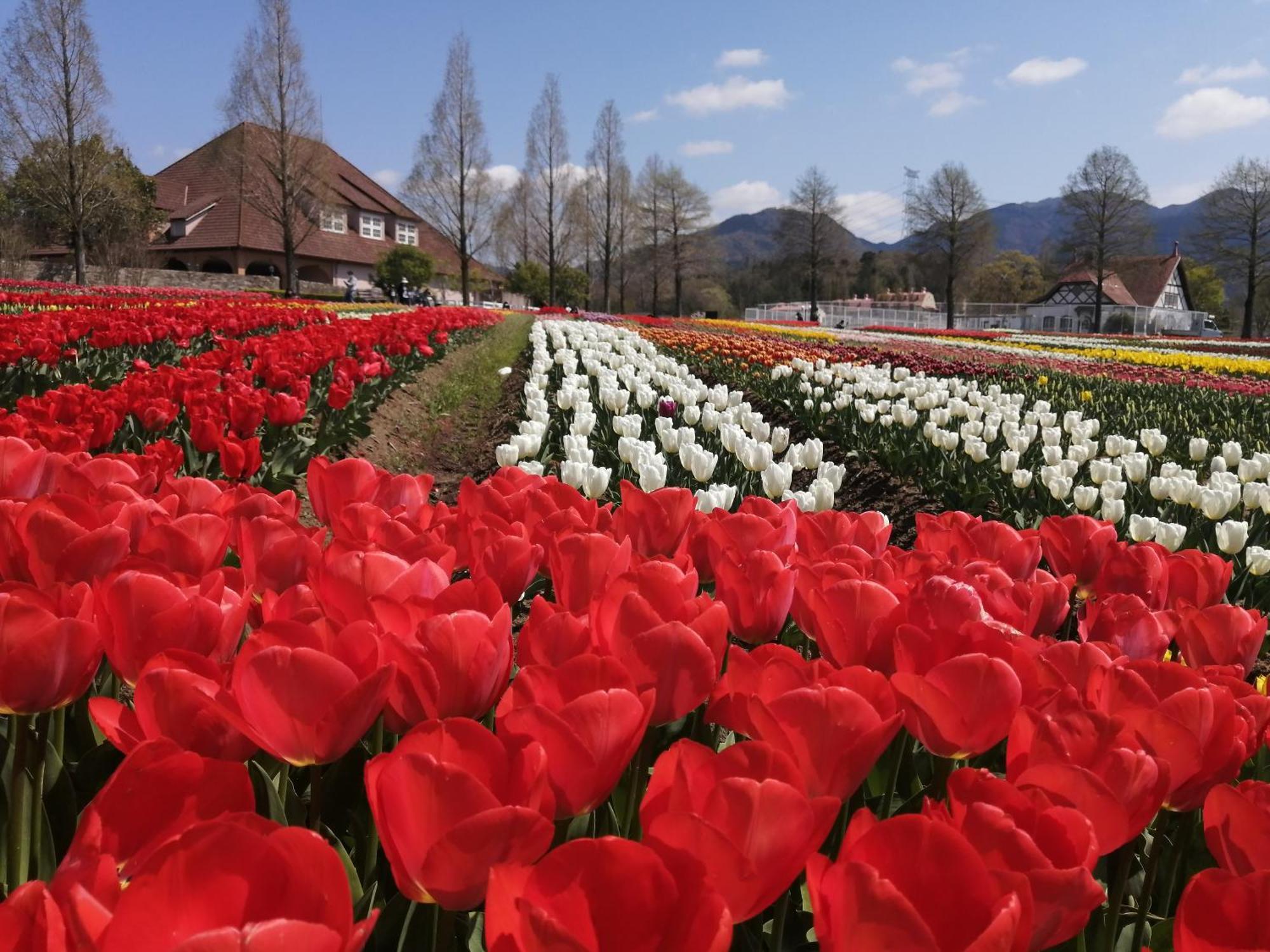 Vessel Inn Shigamoriyama Station Zewnętrze zdjęcie